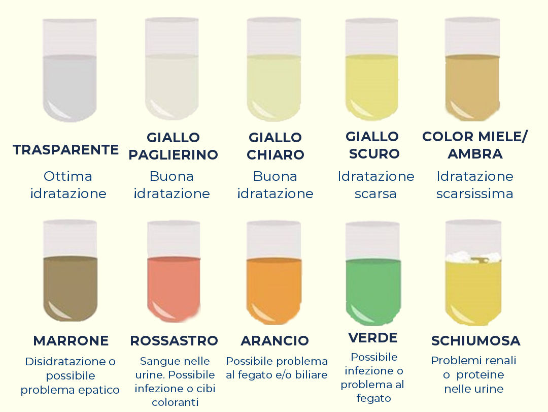 Cosa le Urine Possono Dirci sulla Salute